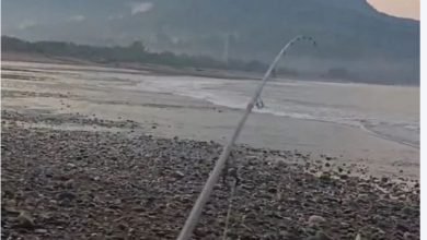 Photo of 【印尼7.7级强震】 海水突然倒退 居民急撤山上避难