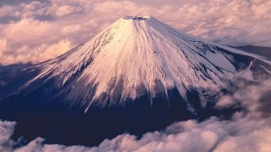 Photo of 7岁童爬累哭遭父丢包　独留富士山2500米雾雨中