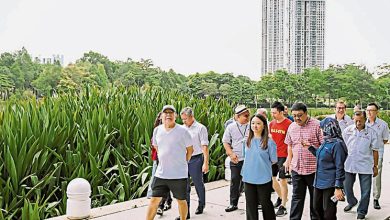 Photo of 杨巧双：充永久公共绿地 隆9空地宪报受保护