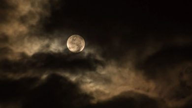 Photo of “月亮太亮睡不著”！奇葩打热线投诉  男被轰浪费资源