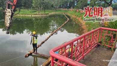 Photo of 太平湖排水施工 水位下降非干涸