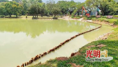 Photo of 保留太平湖景观改善设施 提升工程主打保育修复