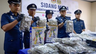 Photo of 机场破快递运毒案 玩具箱藏百万大麻花运欧