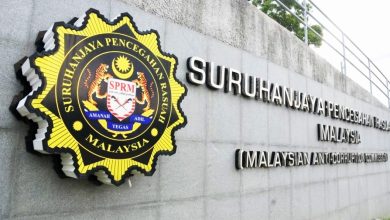 Photo of 森FELDA Palong 7油棕苗质量引疑虑 反贪会接获NGO举报