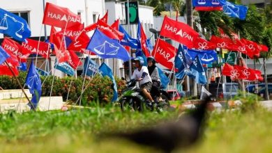 Photo of 《星洲》民调: 近四成网民 看好希盟至少夺19席