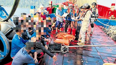 Photo of 霹海事局邦咯岛执法 揭部分雇主违劳工法