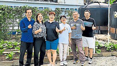 Photo of 教会长者辟小菜园 亲民价售无农药蔬菜