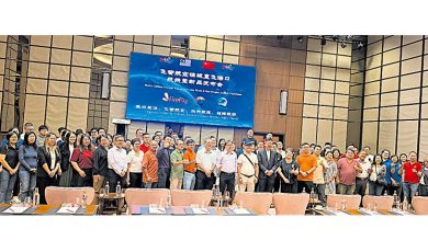 Photo of 飞萤槟海口直航11月启航 业者推新品盼航线稳定