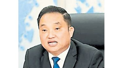 Photo of 流浪狗取缔行动中死亡 雪检讨各地执法程序