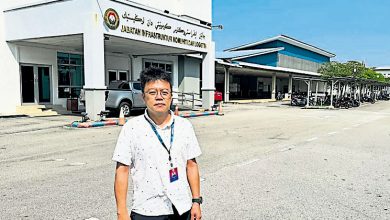 Photo of 甲人道捕流浪狗获好评 其他地方政府可效仿