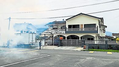 Photo of 淡边运达花园蚊症频传 居民受促清除积水