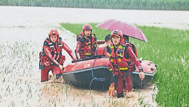 Photo of 第21号台风“艾莎尼”生成 或出现4台共舞