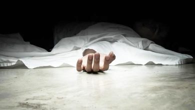 Photo of 自东京飞抵KLIA2 客机起落架舱惊现腐尸