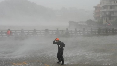 Photo of 台风“白海豚”登陆浙江沿海 海水倒灌街道