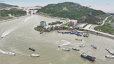 Photo of 白海豚最快今晚登陆浙闽 华东多省市迎强风暴雨