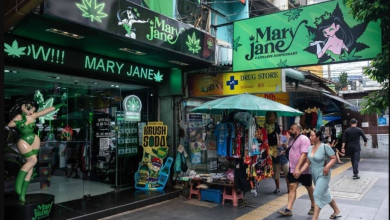 Photo of 泰政府拟立法重整大麻乱象 限医疗用途全面禁娱乐吸食