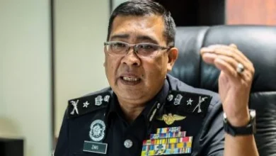 Photo of 垂涎黑市价50万 越盗猎者潜入猎马来虎