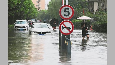 Photo of 台风“白海豚”移入内陆 京冀等省市有大暴雨