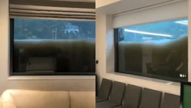 Photo of 台风“白海豚”登陆温州   窗外洪水让他家变“水族馆”