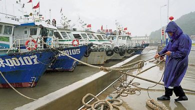 Photo of 强台“白海豚”逼近 明或罕有远洋登陆浙闽
