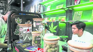 Photo of 泰拟立法重整大麻乱象 全面禁娱乐吸食