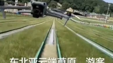 Photo of 遭失控无人机迎面飞撞  女游客因戴眼镜保住双眼