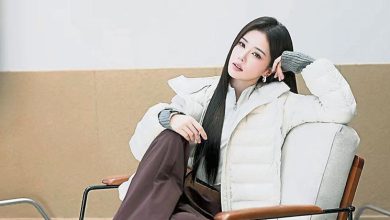 Photo of 白鹿单干就硬了 怒清单身告酸民