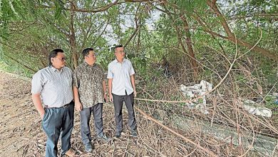 Photo of 保留地未打理杂草丛生 商民忧影响环境卫生