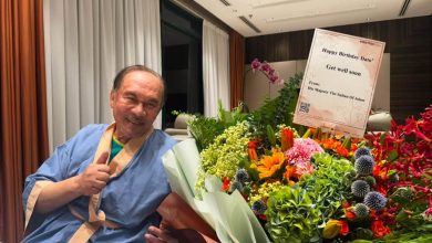 Photo of 元首伉俪祝福安华 生日快乐、早日康复