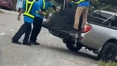Photo of 疑属峇株市议会外包抓狗队  被指踢狗还比中指引网愤