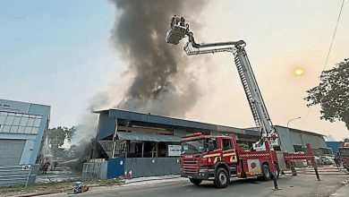 Photo of 蒲种工业园大火 毁4工厂无人伤亡
