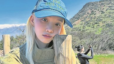 Photo of Winter确诊带状皰疹 巡演急喊停保命