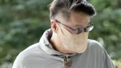 Photo of 不满乌鸦吵自制十字弓射弹珠 六旬男判12月强制性治疗