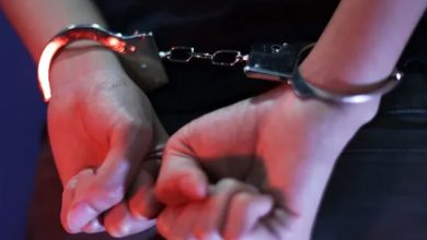 Photo of 逮捕17人! 意大利警破获跨国 儿童色情网络