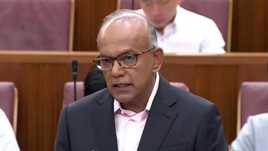 Photo of “化学阉割”若能有效降低犯罪率 新政府不排除采纳