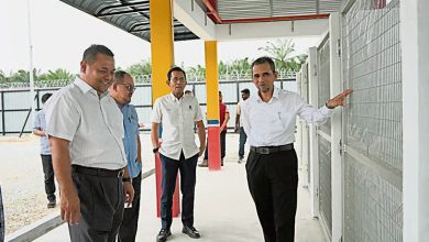 Photo of 流浪动物 火化 公交 瓜冷市会提升3设施