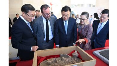 Photo of 58件文物“回家”! 美国返还中国 艺术品及化石
