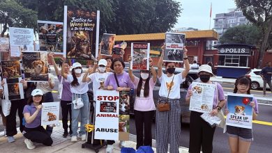 Photo of 大马“旺旺”团队和平集会 游行至中国大使馆表达诉求