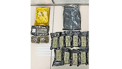 Photo of 警路障截查轿车 丹起12万毒品捕2人
