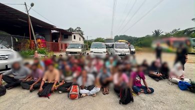 Photo of 无驾照移工载送非法移工 月赚1800 60乘客司机被捕