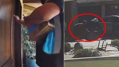 Photo of 假送货真踩点!狂敲门确认无人后 召同伙盗走28万保险箱