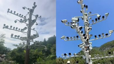 Photo of 84个摄像头挂满一根杆 村干部：只有1个能用