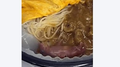 Photo of 开盒吓傻!沙嗲米粉惊现幼鼠 在酱汁中挣扎蠕动
