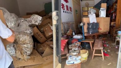Photo of 茶乡变水乡! 白茶第一镇遭暴雨狂灌 茶商百万库存全报废