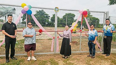 Photo of 黄书琪拨5万 更换实里拉龙华小篱笆