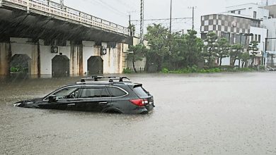 Photo of 【台风杜鹃袭日】至少4死6失踪 往来东京500航班取消