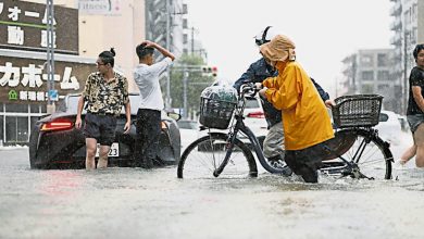 Photo of 日本名古屋遭强降雨 多处亚运会场馆漏水