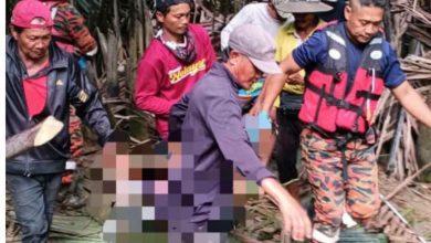 Photo of 男子寻螺失踪多日残躯被寻获 疑遭鳄鱼咬噬肢体不全