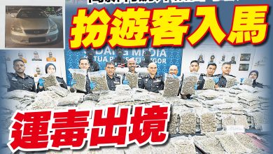 Photo of 被诱骗高薪工作免费旅游 外国毒骡不知行李藏毒