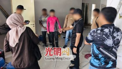 Photo of 码头商业区扫荡 玻移民局捕6非法入境者